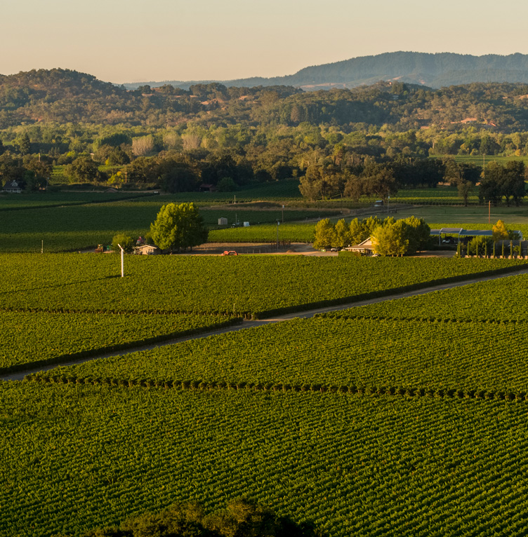 #2 Gertrude’s Block - Chardonnay