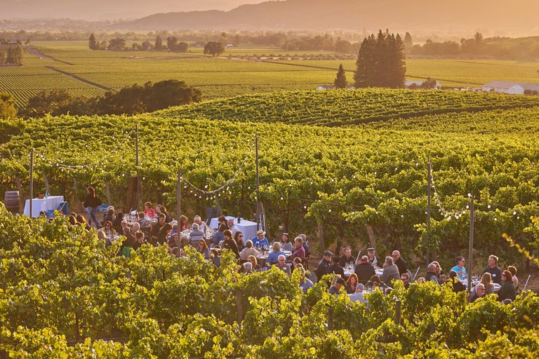 Chef Series: Harvest Dinner