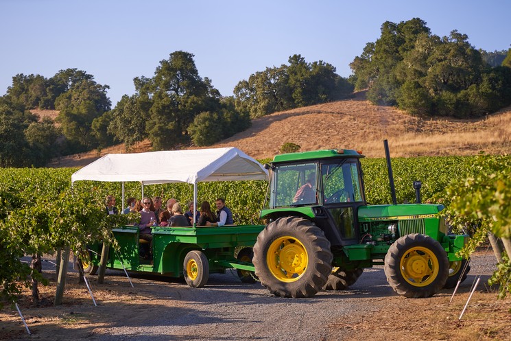 Tractor Vineyard Tour & Lunch