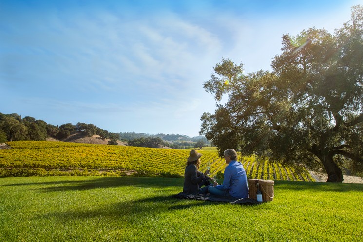 Vineyard Experience