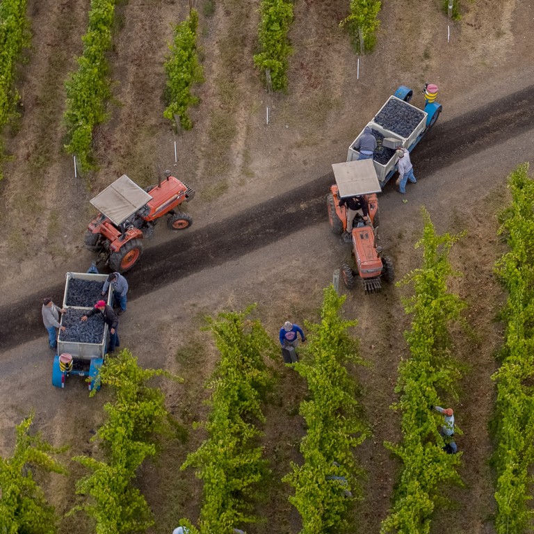 Dirt To Bottle with Lunch