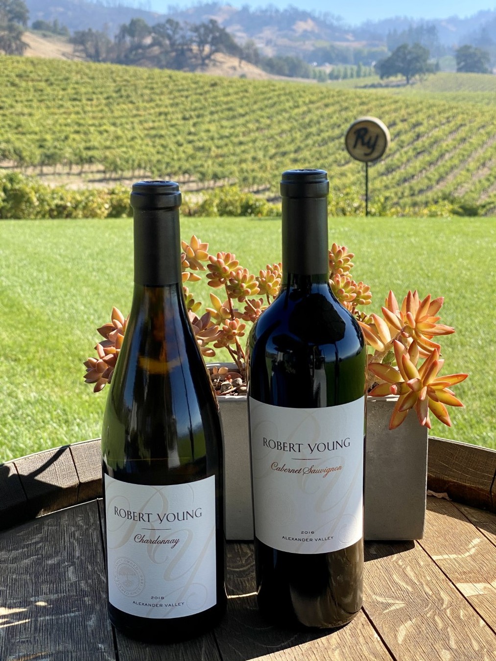 A Taste of Alexander Valley Gift Set