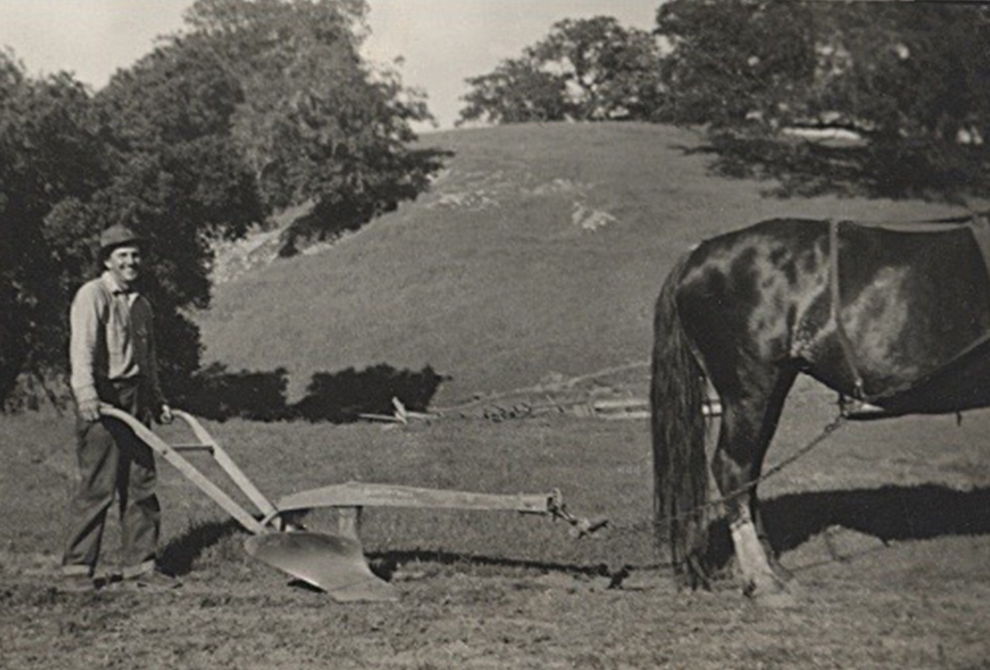 Robert plowing the field with the help of a horse in 1942