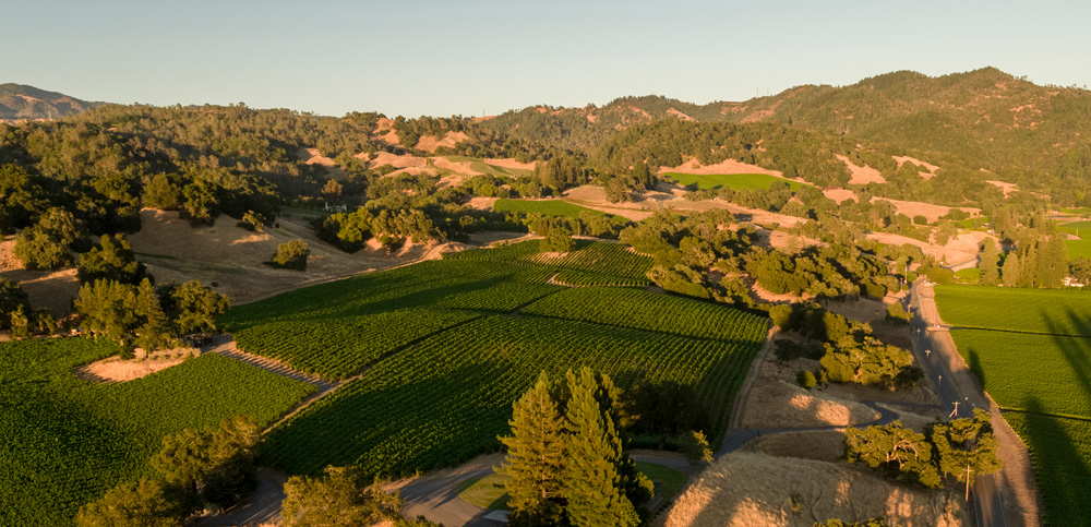 Robert Young Vineyard aerial photo