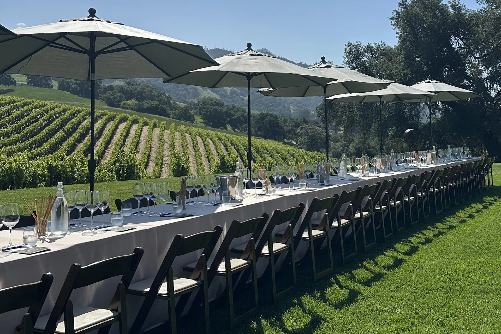 Large Group Tasting Experience