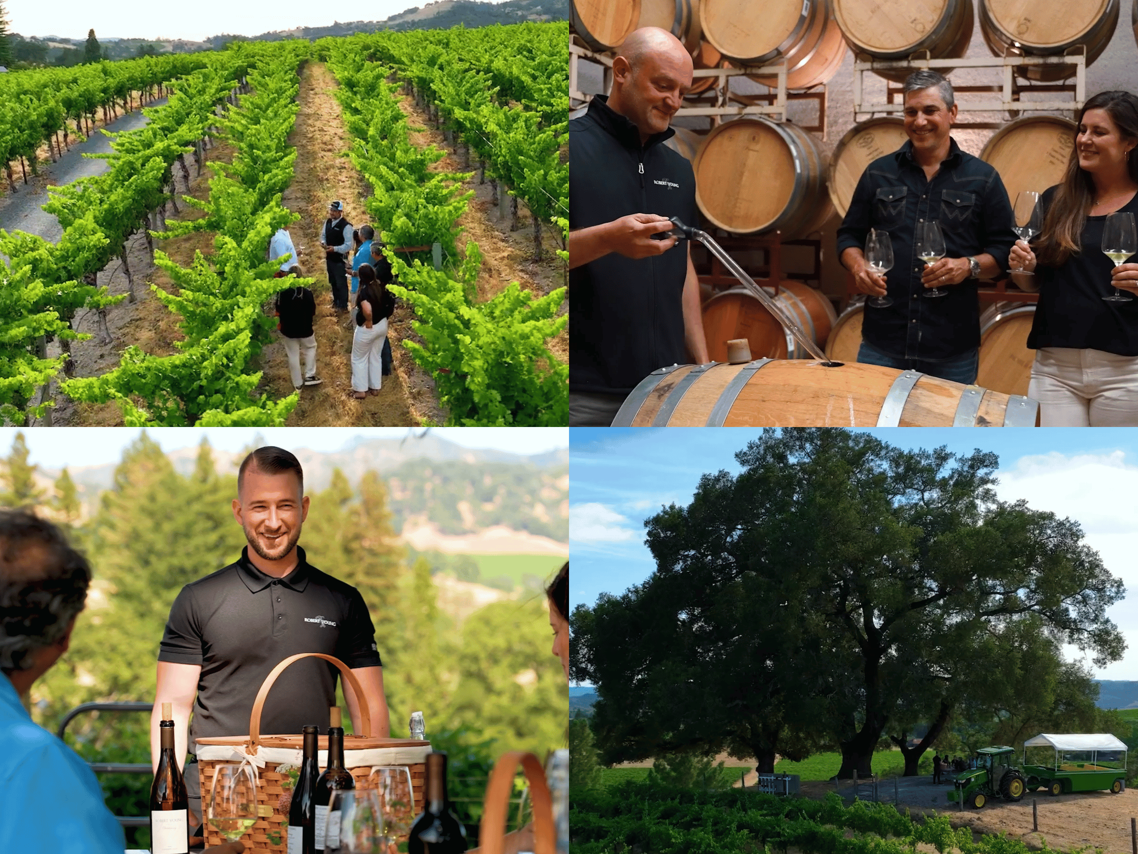 Dirt To Bottle: Vineyard, Cellar, & Lunch